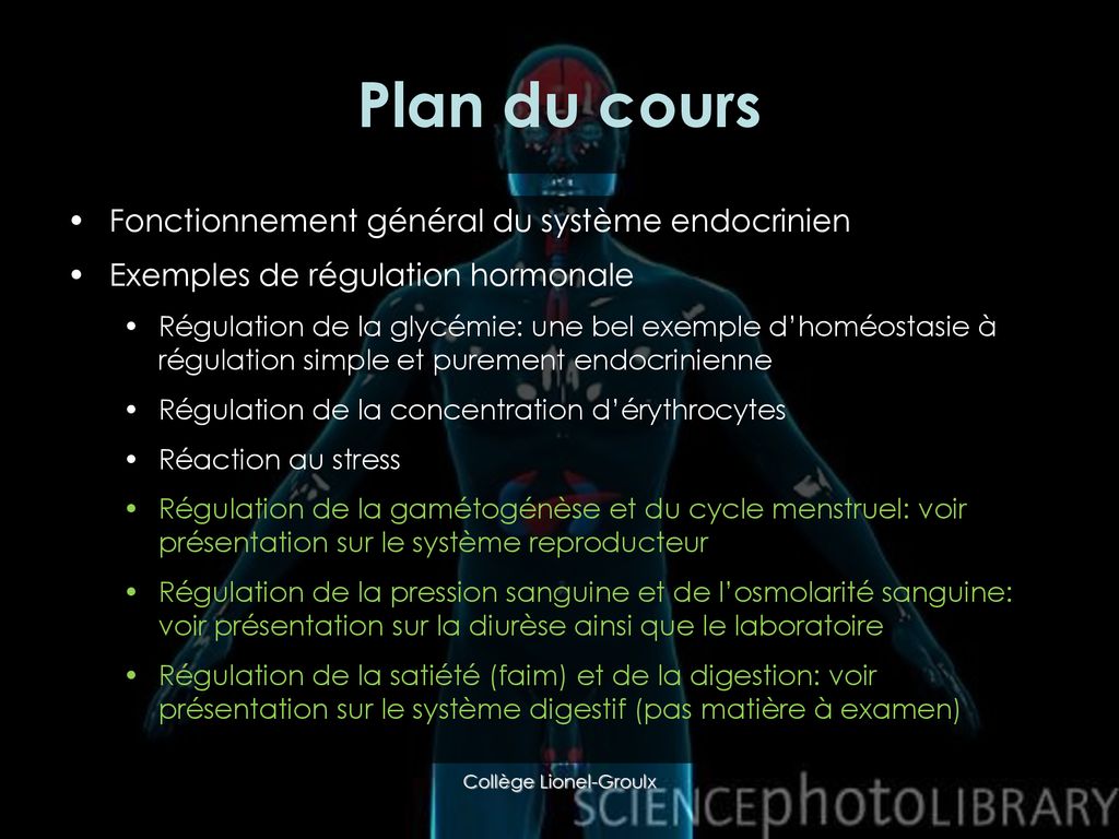 Le système endocrinien un très bref aperçu ppt télécharger